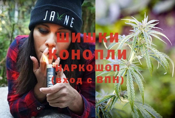 дурь Алзамай