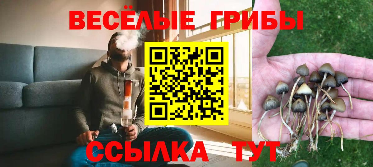 Псилоцибиновые грибы Magic Shrooms Ачинск